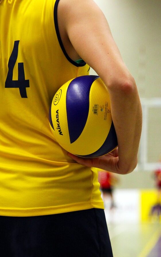 volleyball ball player team sport 520093